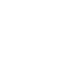 Scout_Wild®_LogoLockup_W_Vertical