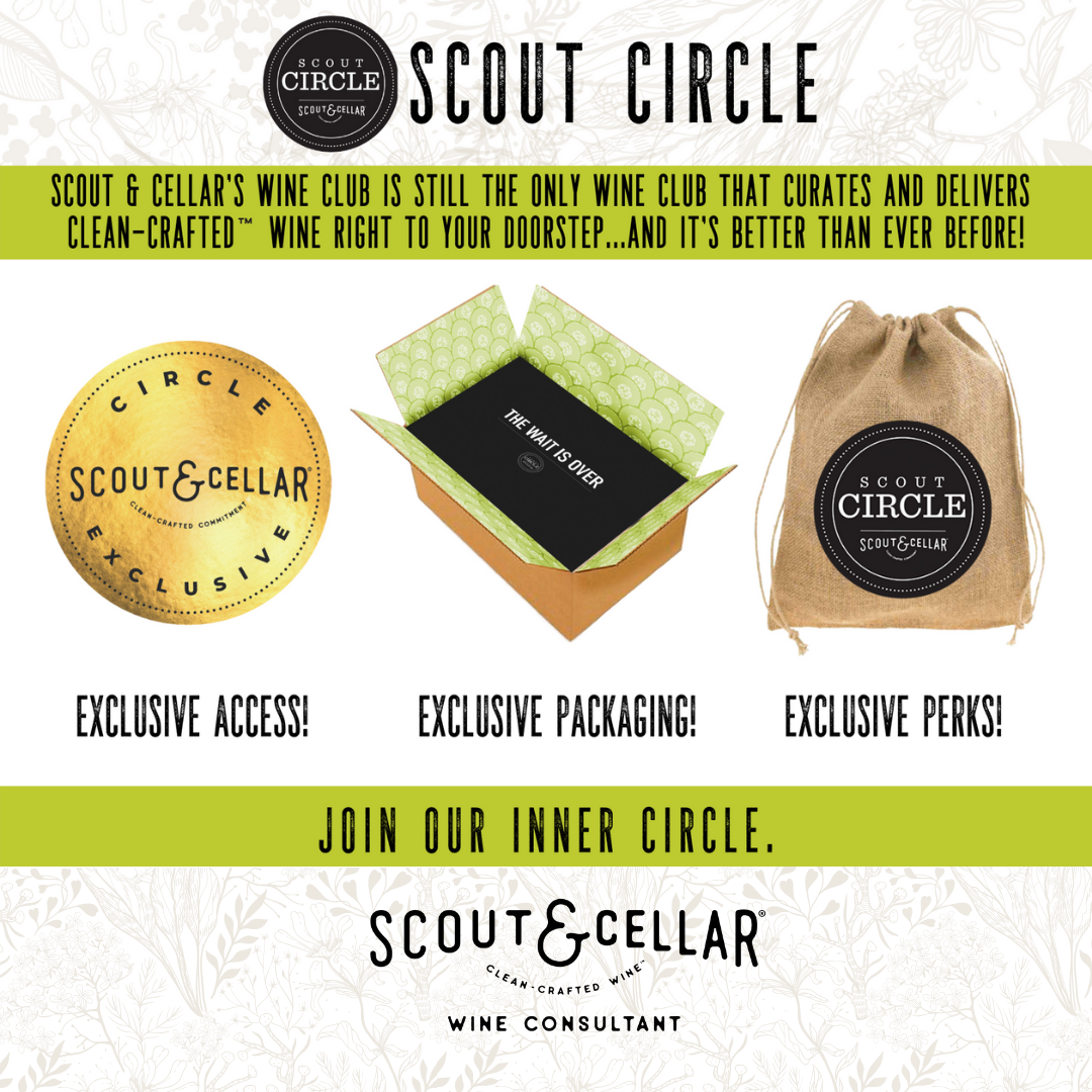 scout wine bolsa